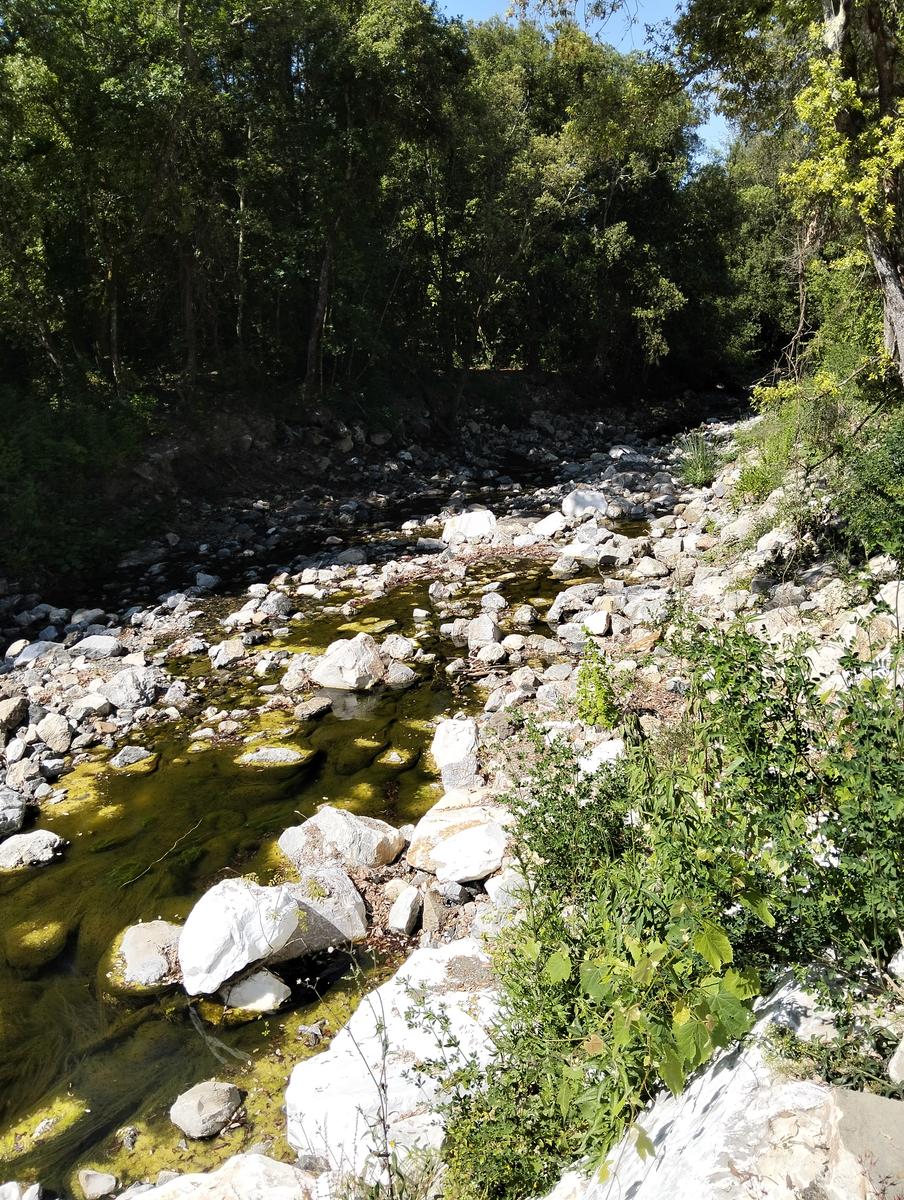 Val di chioma ~ Anello tra Torre del Piastrone e laghetto delle Pianacce - foto 5