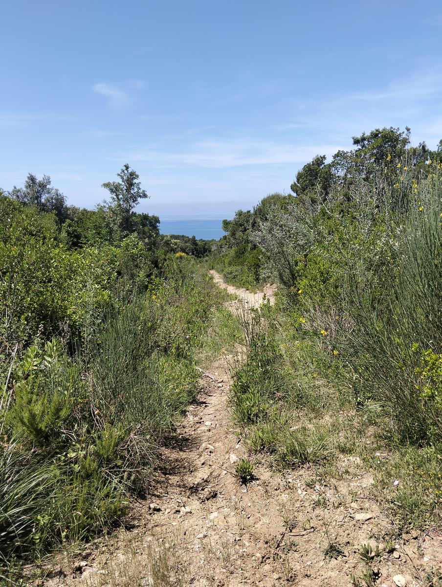 Val di chioma ~ Anello tra Torre del Piastrone e laghetto delle Pianacce - foto 7