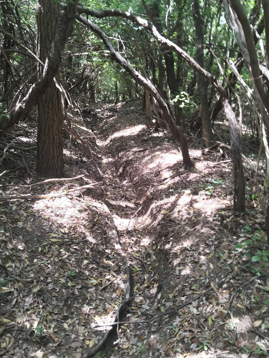 Val di chioma ~ Anello tra Torre del Piastrone e laghetto delle Pianacce - foto 8