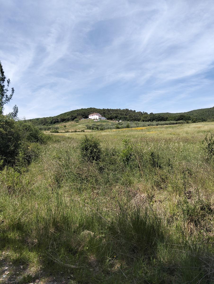 Val di chioma ~ Anello tra Torre del Piastrone e laghetto delle Pianacce - foto 12