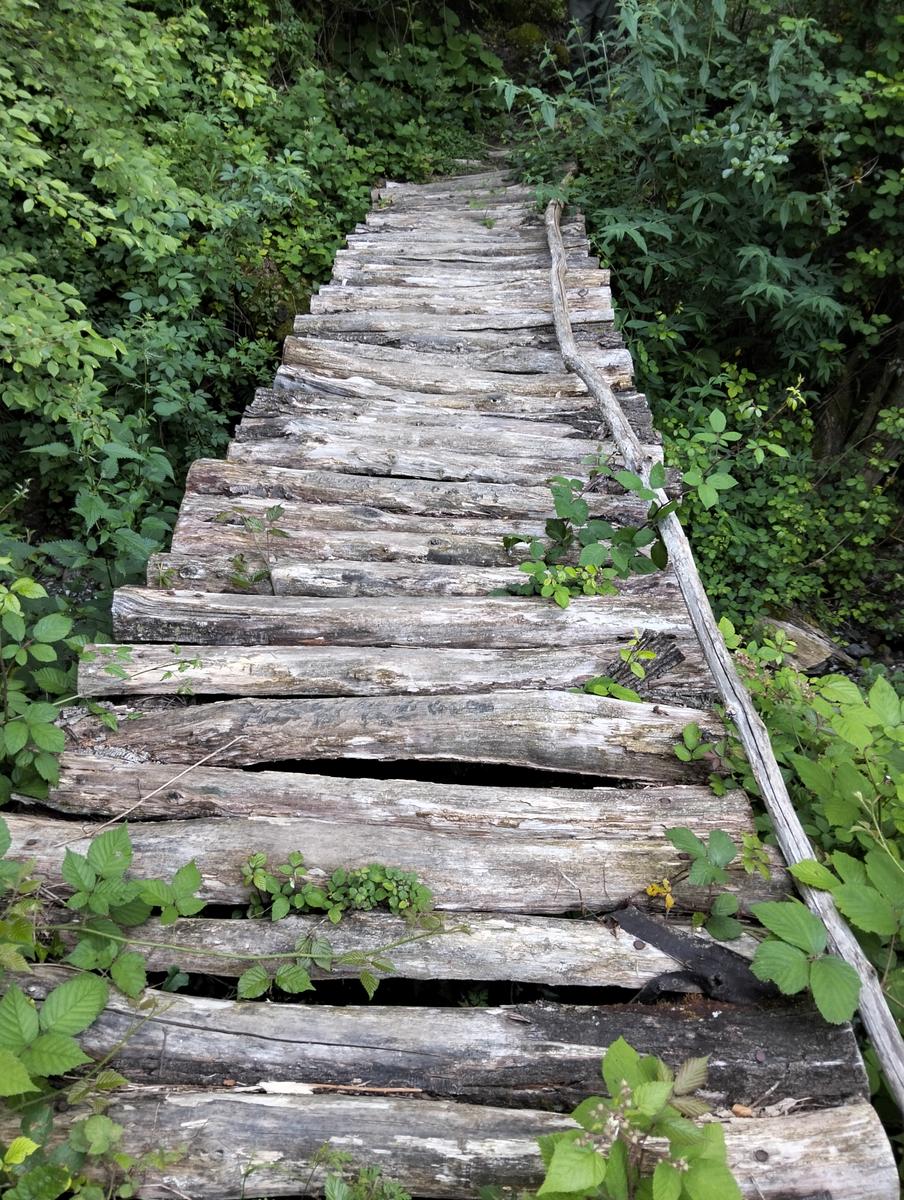 Pania della Croce, Pizzo delle saette, Rifugio Del Freo e Passo dell'Alpino da Orzale - foto 2