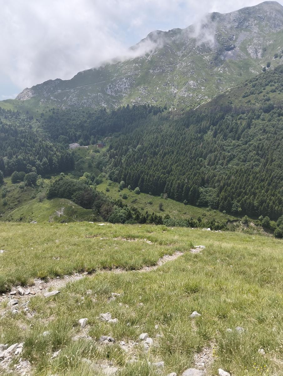 Pania della Croce, Pizzo delle saette, Rifugio Del Freo e Passo dell'Alpino da Orzale - foto 7