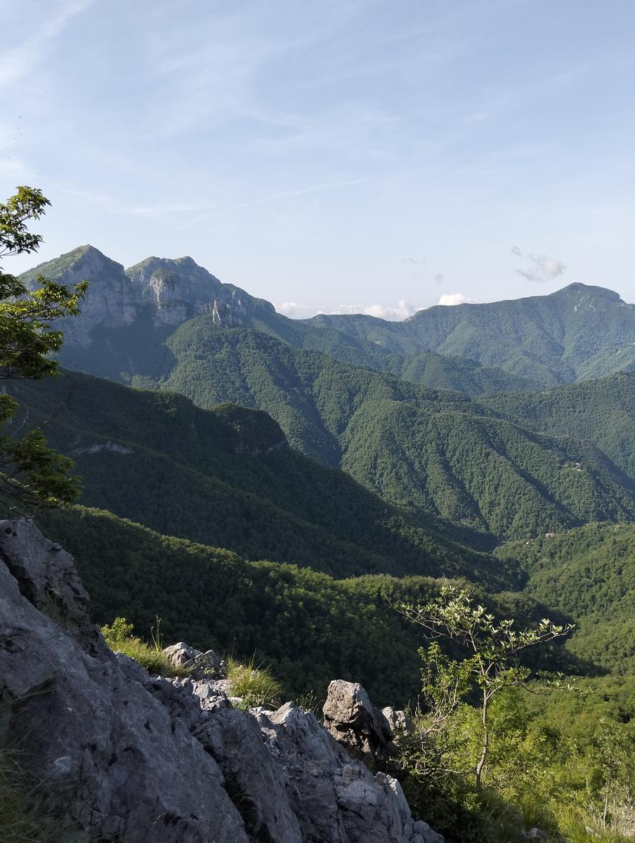 Pania della Croce, Pizzo delle saette, Rifugio Del Freo e Passo dell'Alpino da Orzale - foto 15