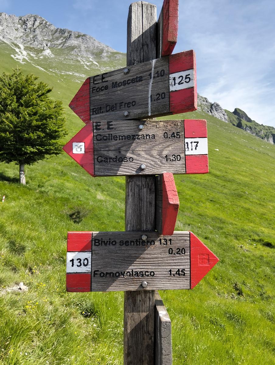 Pania della Croce, Pizzo delle saette, Rifugio Del Freo e Passo dell'Alpino da Orzale - foto 17