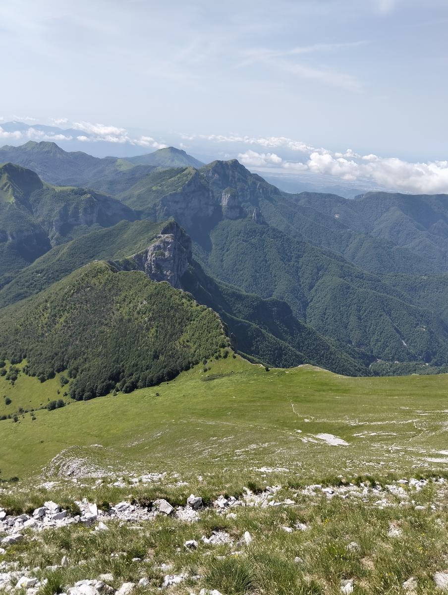 Pania della Croce, Pizzo delle saette, Rifugio Del Freo e Passo dell'Alpino da Orzale - foto 18