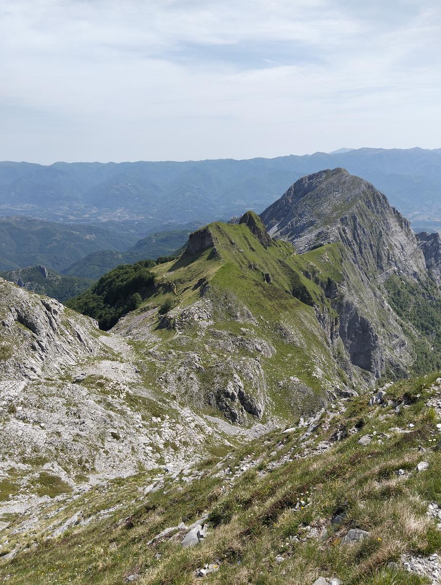 Pania della Croce, Pizzo delle saette, Rifugio Del Freo e Passo dell'Alpino da Orzale - foto 19