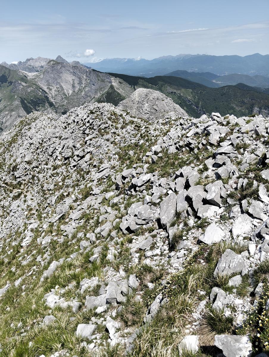 Pania della Croce, Pizzo delle saette, Rifugio Del Freo e Passo dell'Alpino da Orzale - foto 21