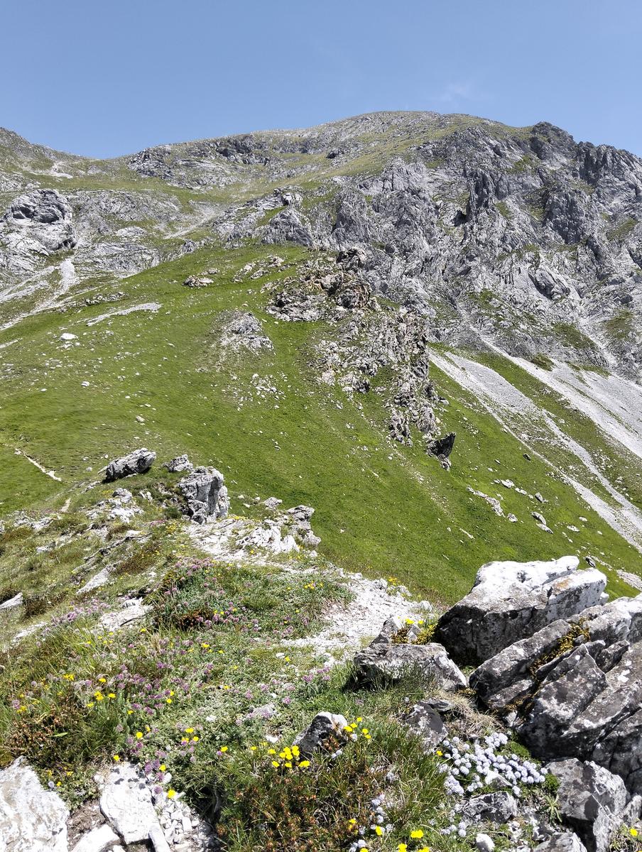 Pania della Croce, Pizzo delle saette, Rifugio Del Freo e Passo dell'Alpino da Orzale - foto 22