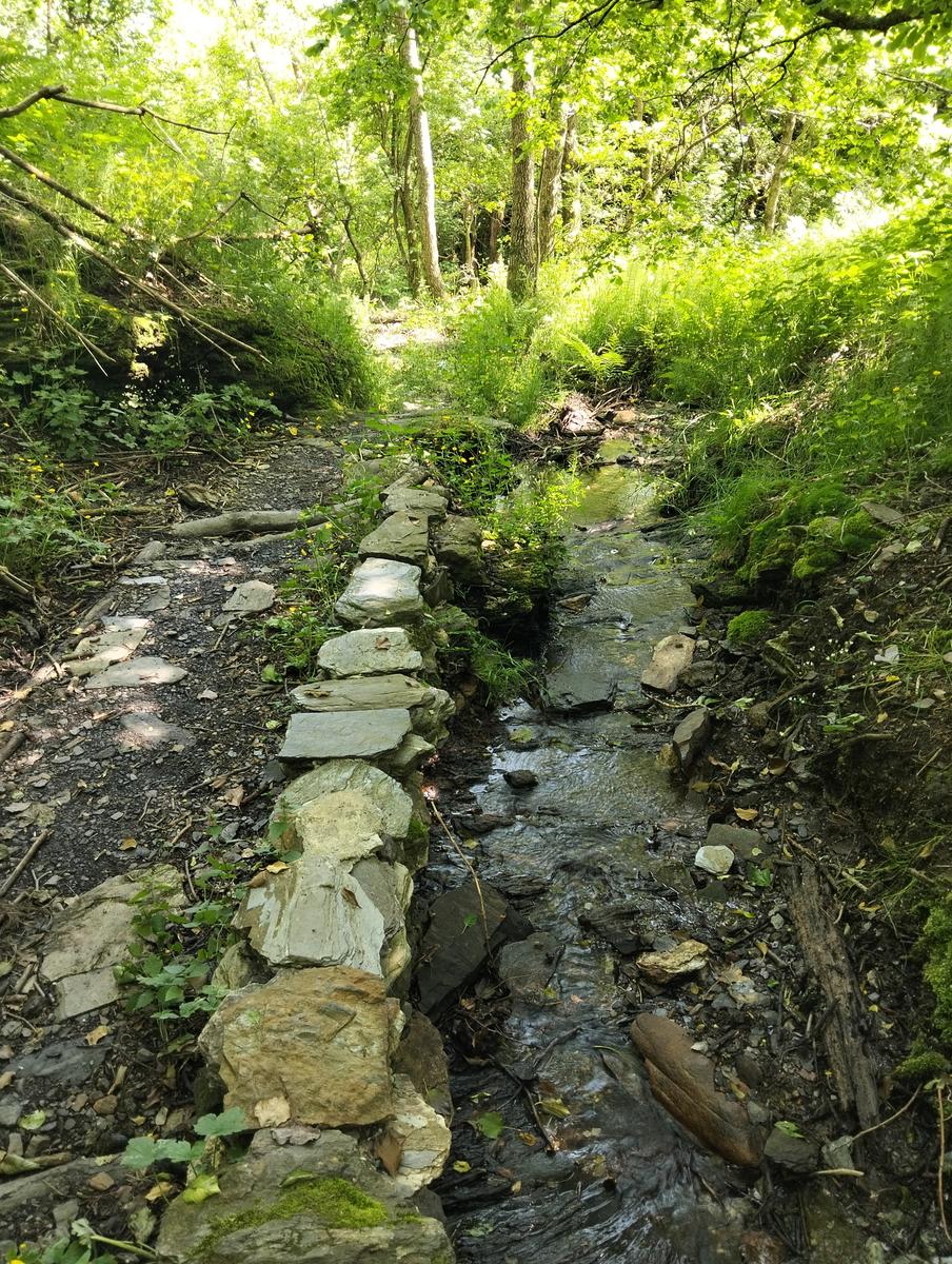 Pania della Croce, Pizzo delle saette, Rifugio Del Freo e Passo dell'Alpino da Orzale - foto 24