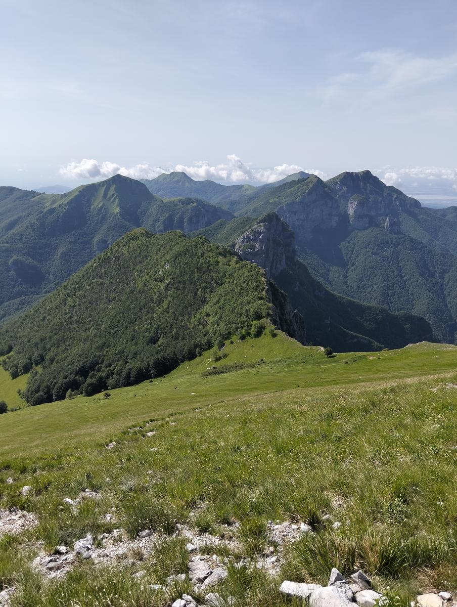 Pania della Croce, Pizzo delle saette, Rifugio Del Freo e Passo dell'Alpino da Orzale - foto 28