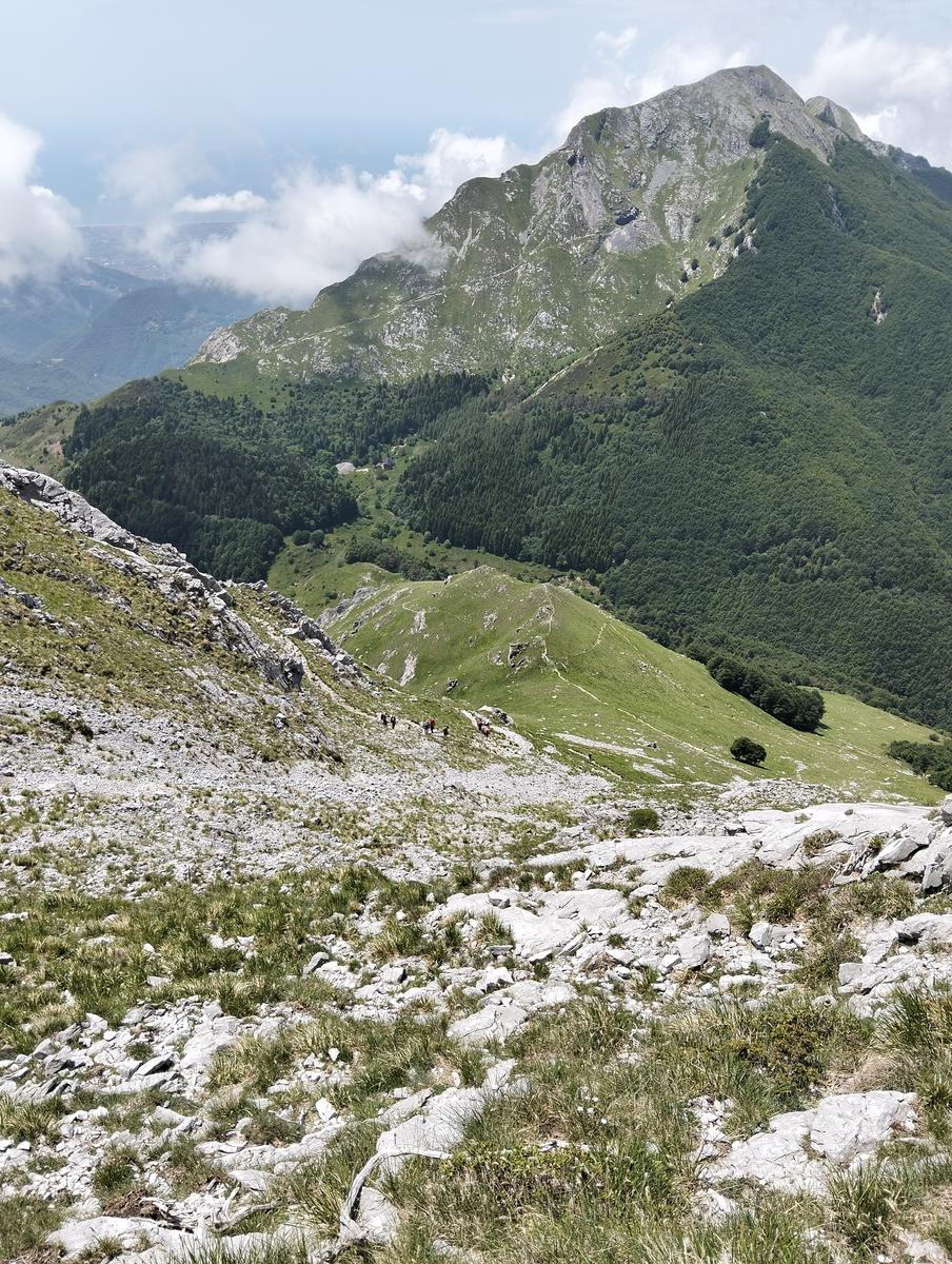 Pania della Croce, Pizzo delle saette, Rifugio Del Freo e Passo dell'Alpino da Orzale - foto 32