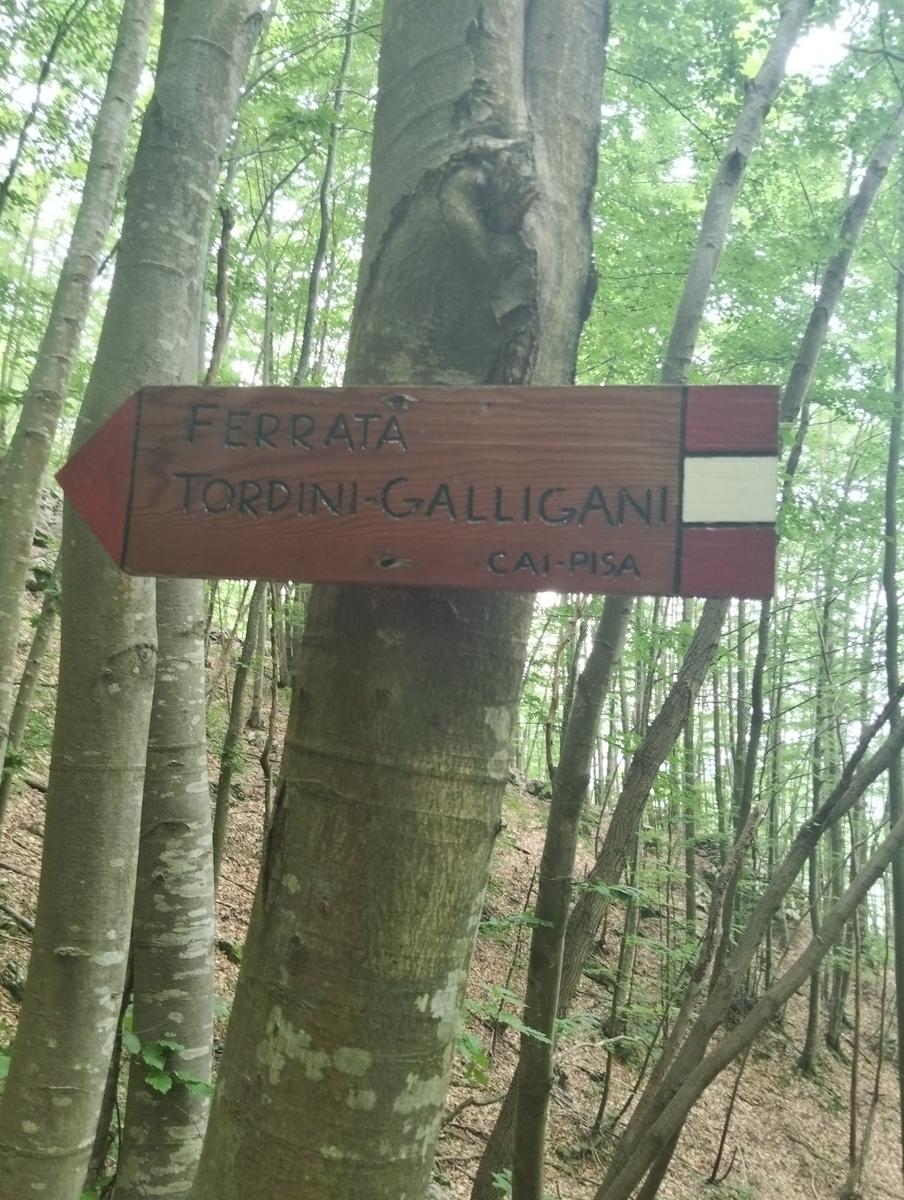 Pizzo d’Uccello e ferrata Tordini-Galligani - foto 20