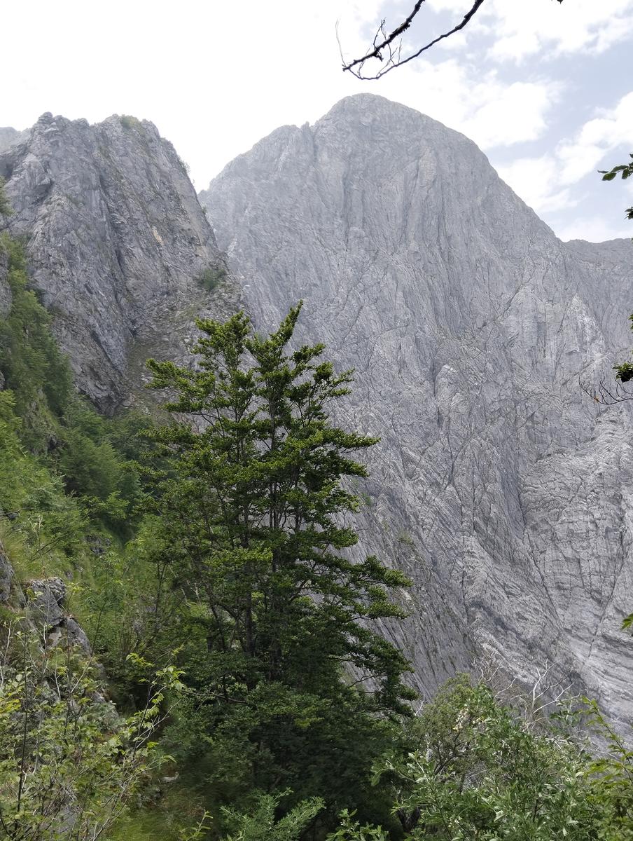 Pizzo d’Uccello e ferrata Tordini-Galligani - foto 36