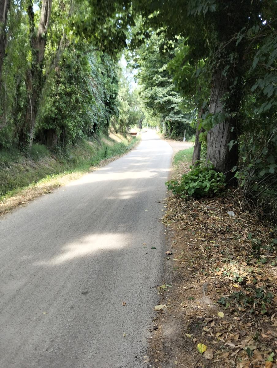 La via delle erbe ~ Massaciuccoli – Tempio Hinduista, fiori di loto, lavanda, alpaca e Manipura - foto 2
