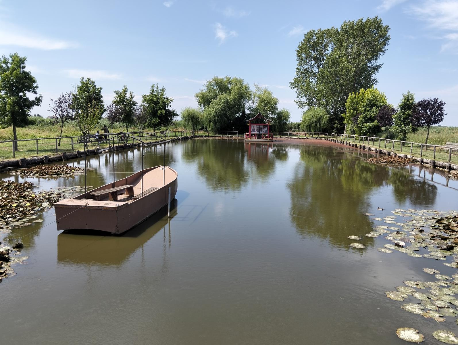 La via delle erbe ~ Massaciuccoli – Tempio Hinduista, fiori di loto, lavanda, alpaca e Manipura - foto 6