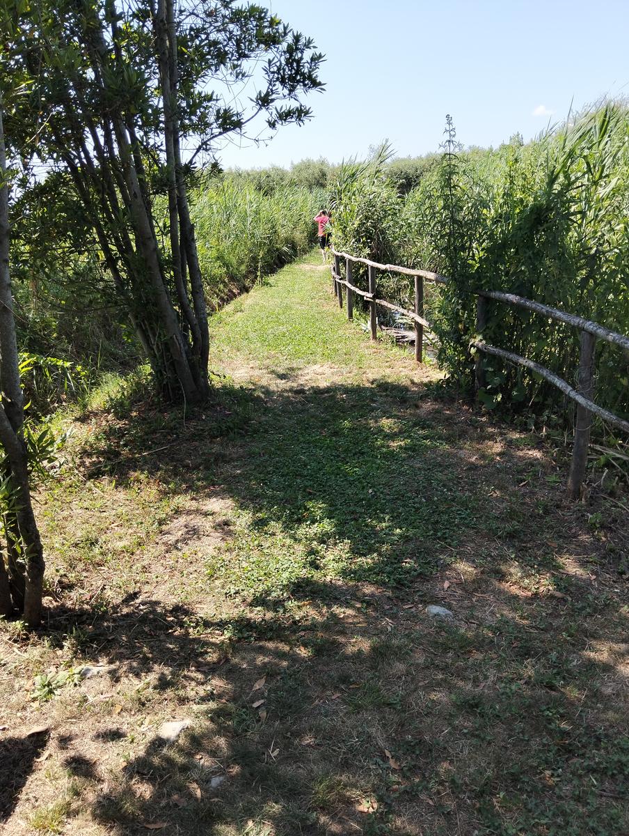La via delle erbe ~ Massaciuccoli – Tempio Hinduista, fiori di loto, lavanda, alpaca e Manipura - foto 10