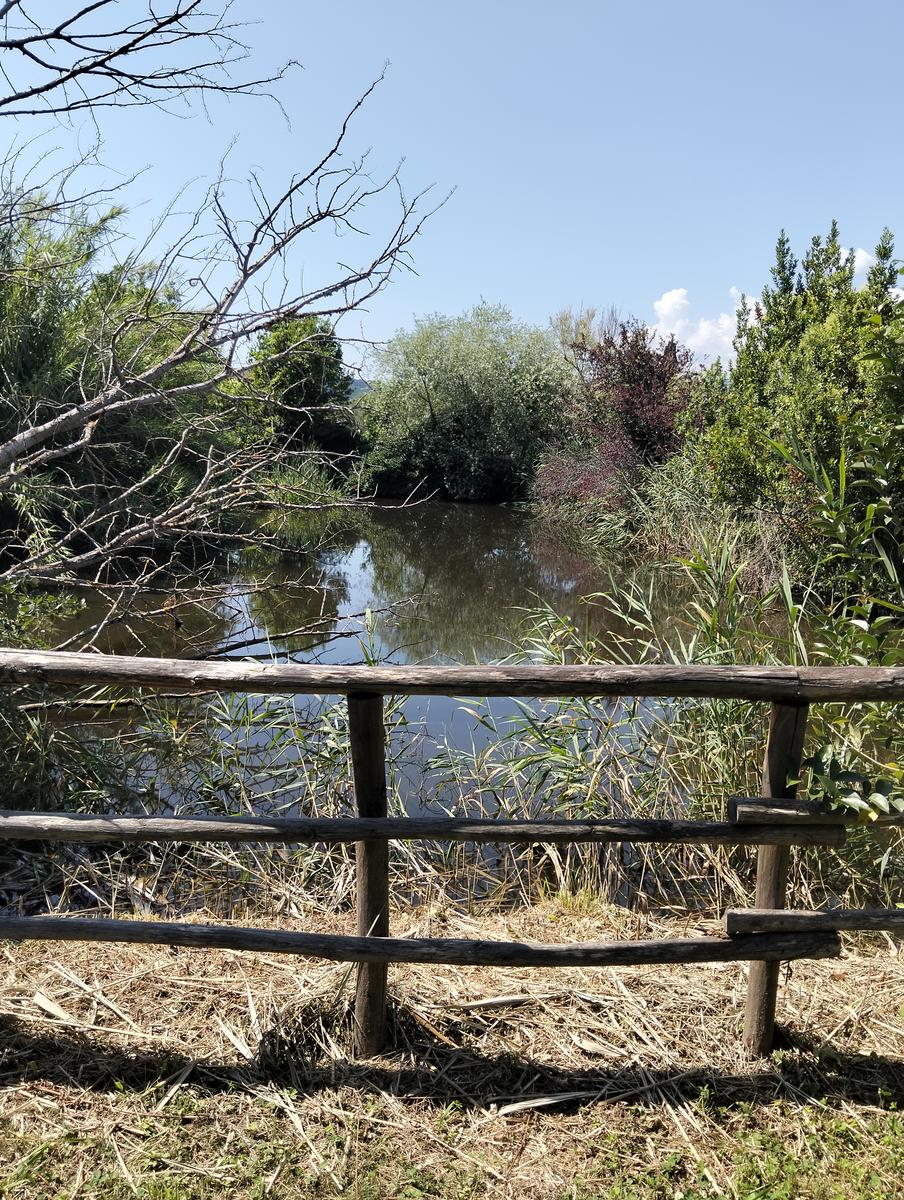 La via delle erbe ~ Massaciuccoli – Tempio Hinduista, fiori di loto, lavanda, alpaca e Manipura - foto 11