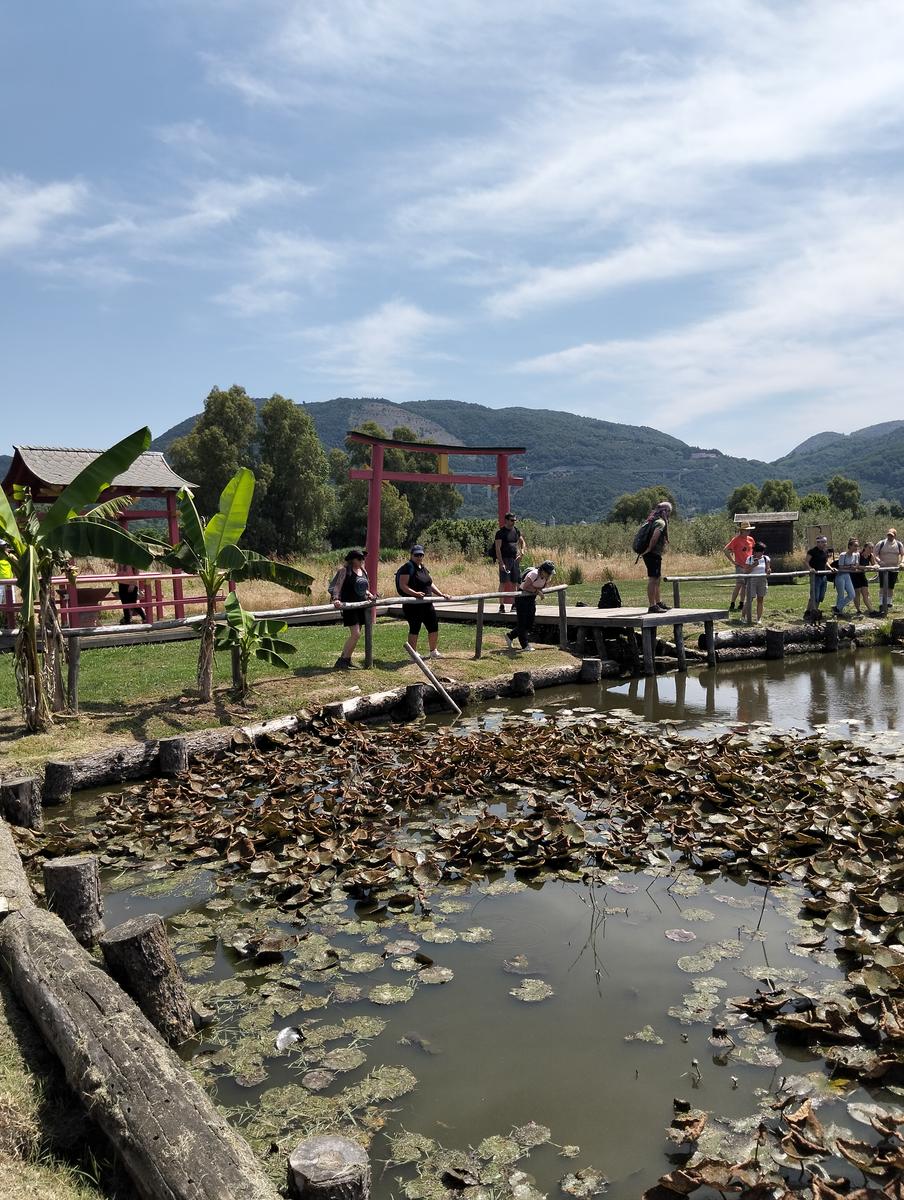 La via delle erbe ~ Massaciuccoli – Tempio Hinduista, fiori di loto, lavanda, alpaca e Manipura - foto 13