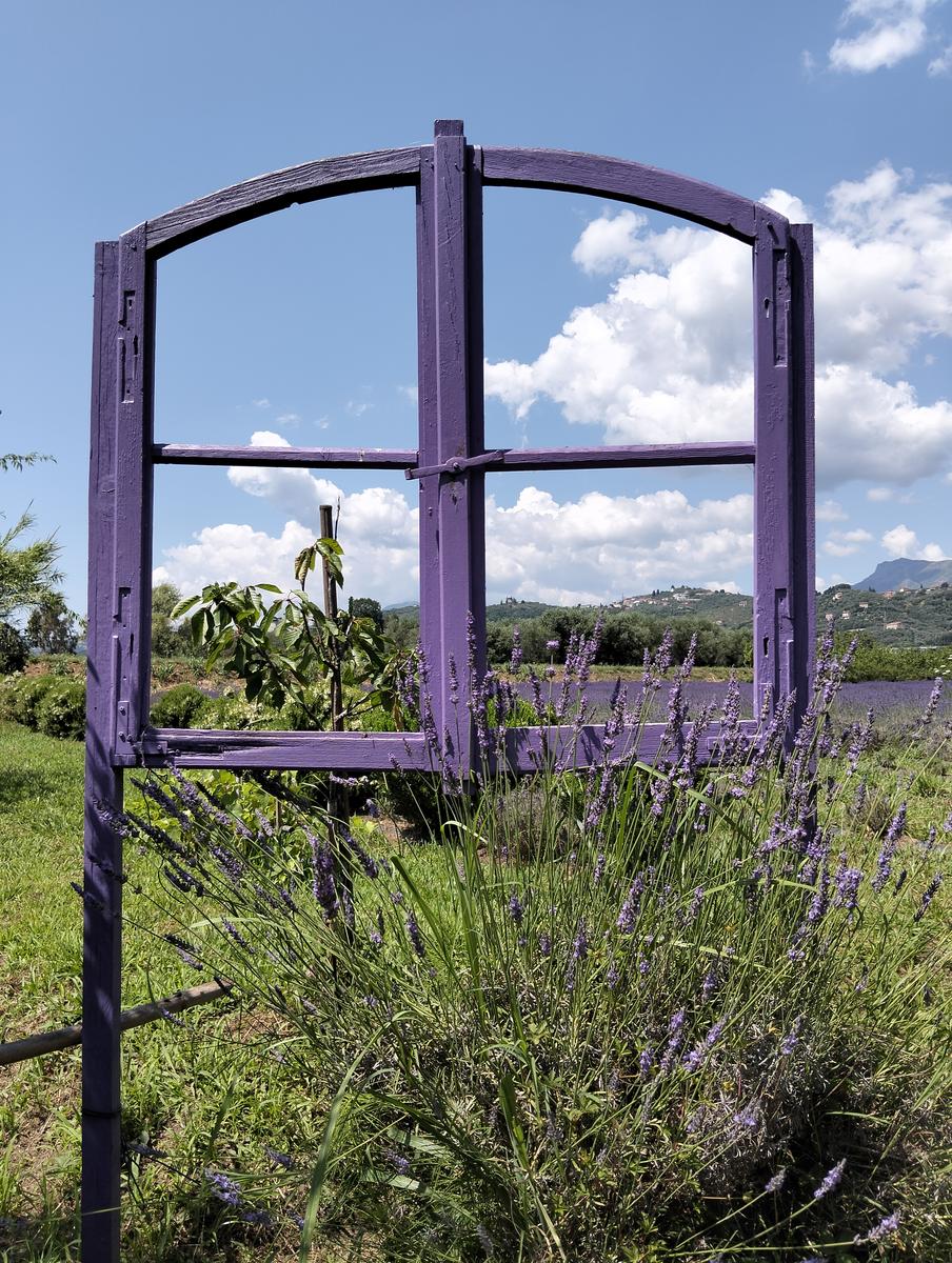 La via delle erbe ~ Massaciuccoli – Tempio Hinduista, fiori di loto, lavanda, alpaca e Manipura - foto 19