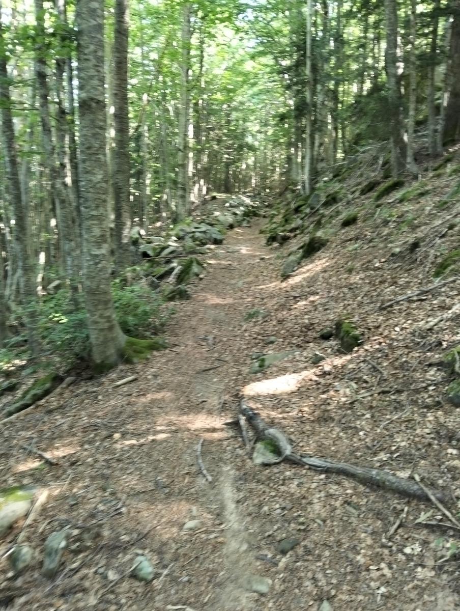 Anello di Val di luce, Monte gomito, Denti della Vecchia Lago Nero, Alpe Tre Potenze, Femminamorta, Balzo delle rose - foto 5