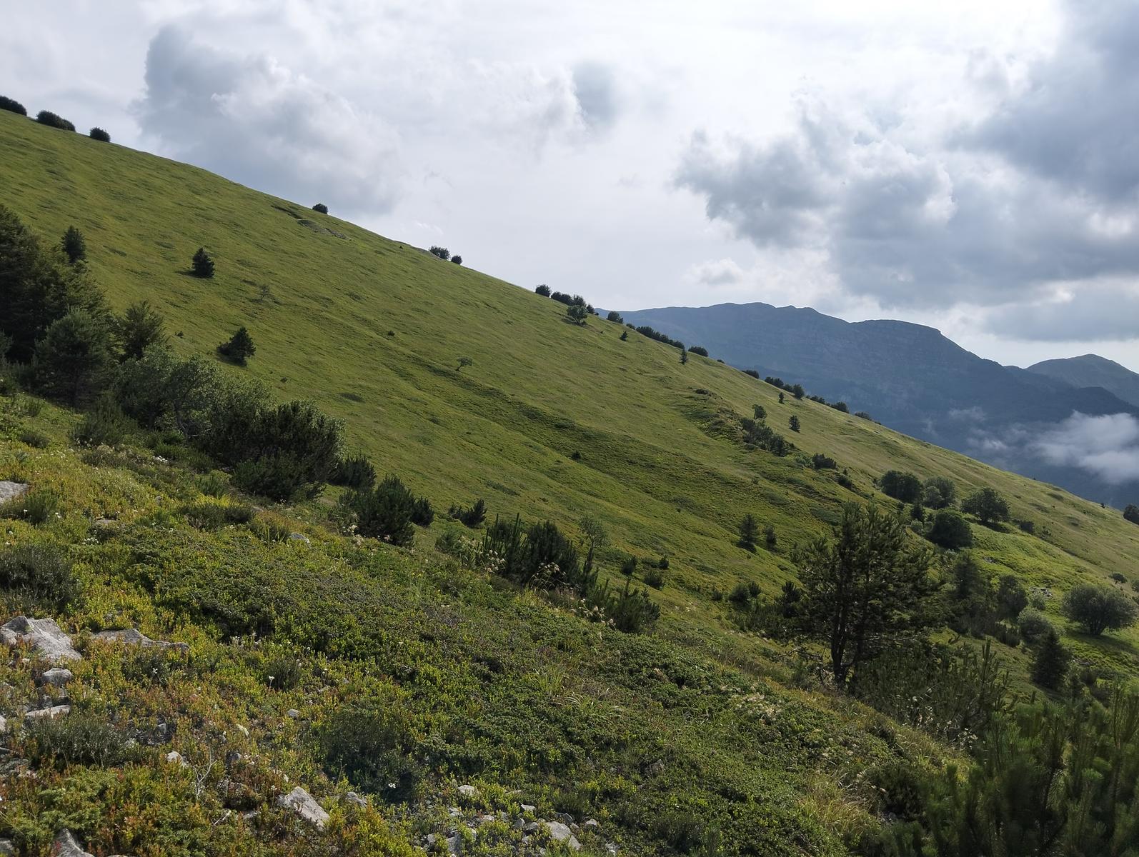 Anello di Val di luce, Monte gomito, Denti della Vecchia Lago Nero, Alpe Tre Potenze, Femminamorta, Balzo delle rose - foto 14