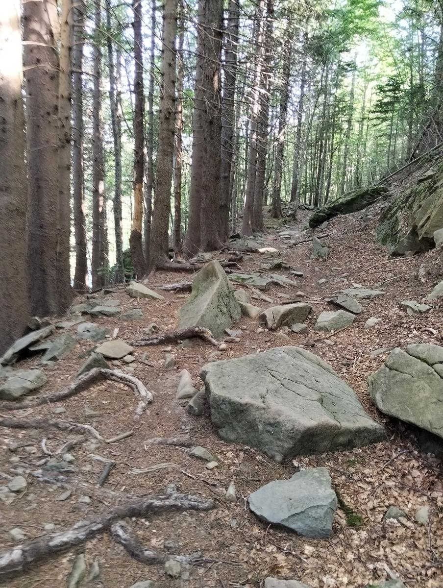 Anello di Val di luce, Monte gomito, Denti della Vecchia Lago Nero, Alpe Tre Potenze, Femminamorta, Balzo delle rose - foto 15