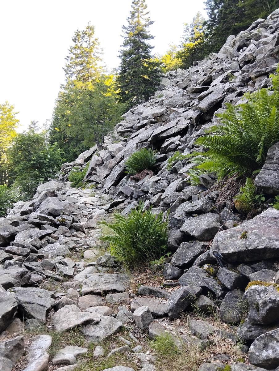 Anello di Val di luce, Monte gomito, Denti della Vecchia Lago Nero, Alpe Tre Potenze, Femminamorta, Balzo delle rose - foto 16