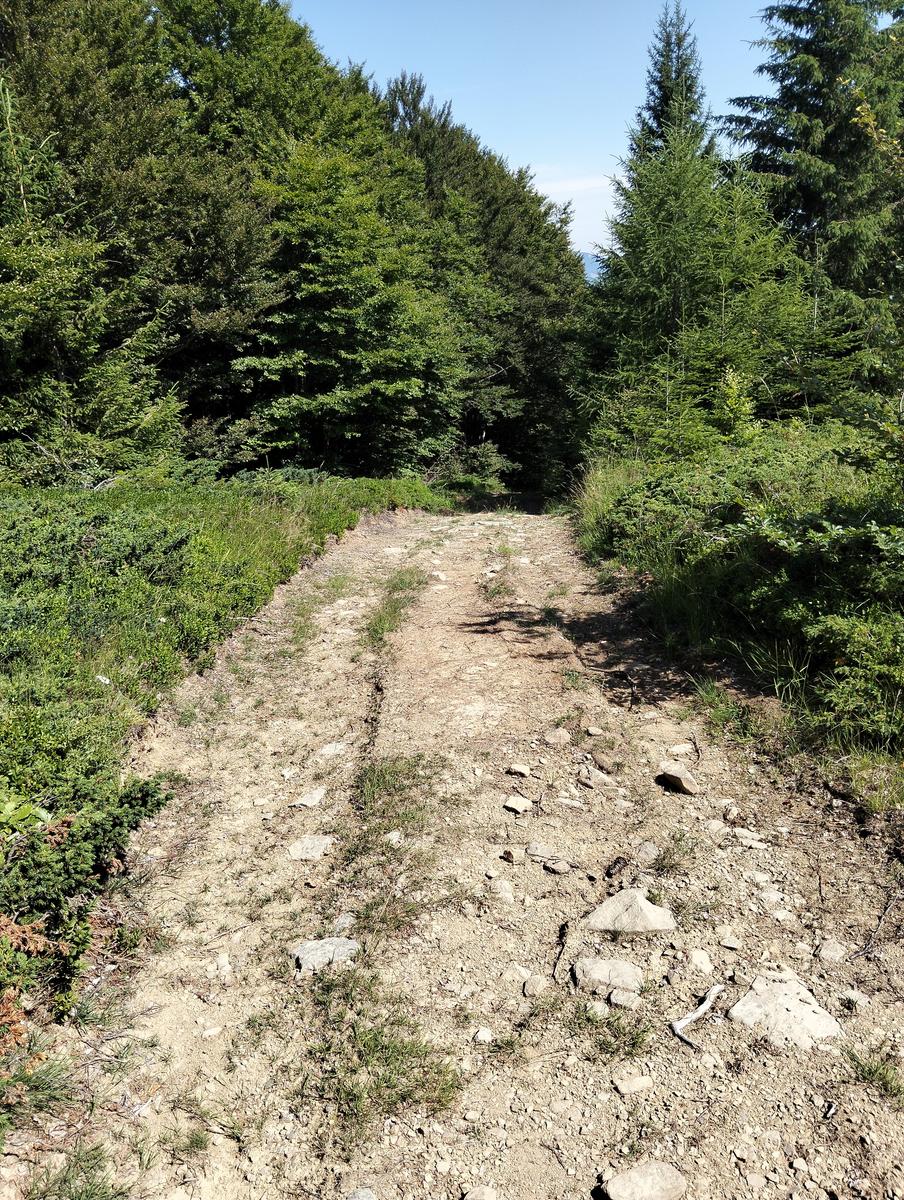 Anello di Val di luce, Monte gomito, Denti della Vecchia Lago Nero, Alpe Tre Potenze, Femminamorta, Balzo delle rose - foto 17