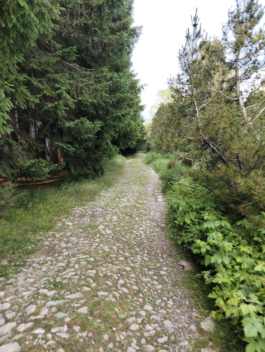 Anello di Val di luce, Monte gomito, Denti della Vecchia Lago Nero, Alpe Tre Potenze, Femminamorta, Balzo delle rose - foto 35