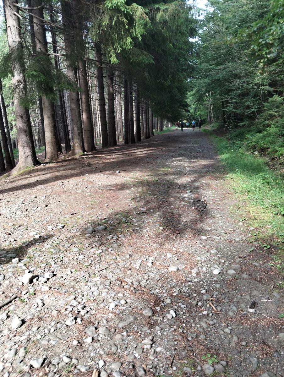 Anello di Val di luce, Monte gomito, Denti della Vecchia Lago Nero, Alpe Tre Potenze, Femminamorta, Balzo delle rose - foto 36