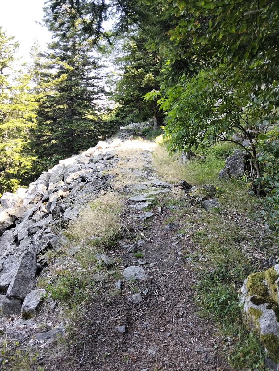 Anello di Val di luce, Monte gomito, Denti della Vecchia Lago Nero, Alpe Tre Potenze, Femminamorta, Balzo delle rose - foto 37