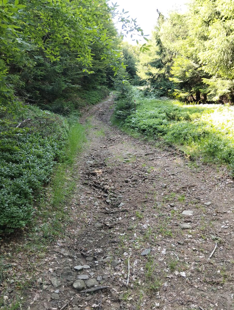 Anello di Val di luce, Monte gomito, Denti della Vecchia Lago Nero, Alpe Tre Potenze, Femminamorta, Balzo delle rose - foto 38