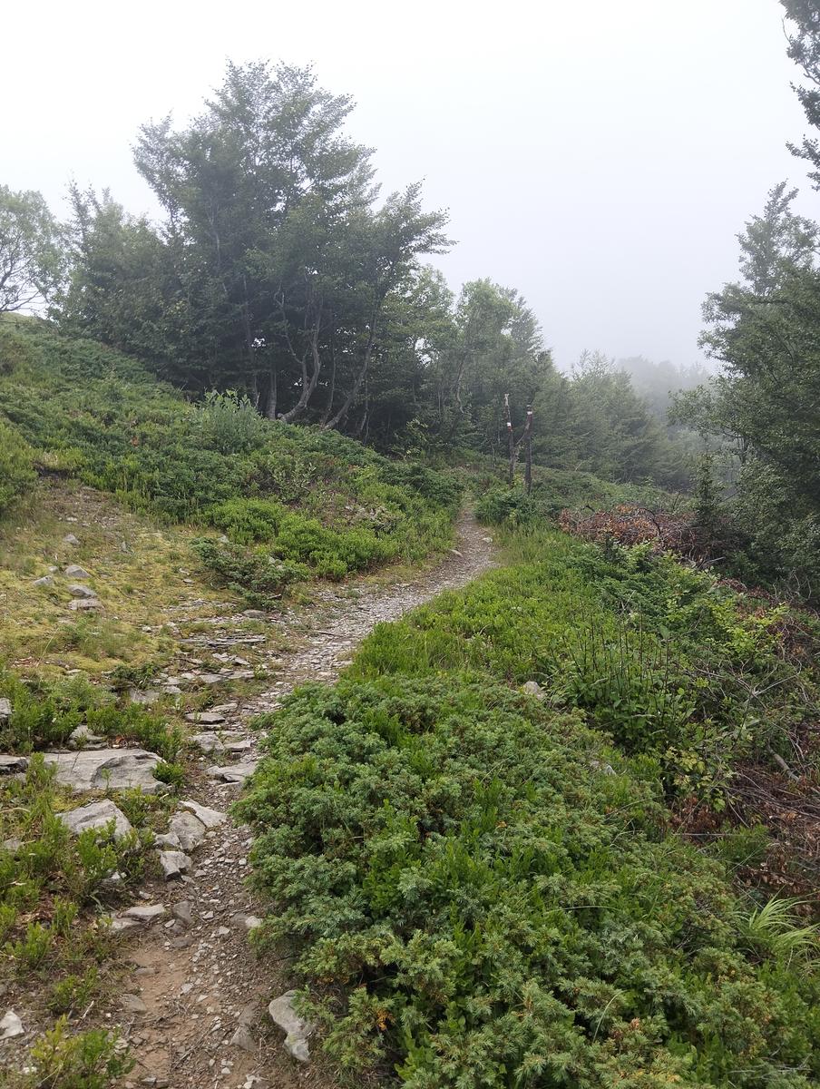 Anello di Val di luce, Monte gomito, Denti della Vecchia Lago Nero, Alpe Tre Potenze, Femminamorta, Balzo delle rose - foto 46