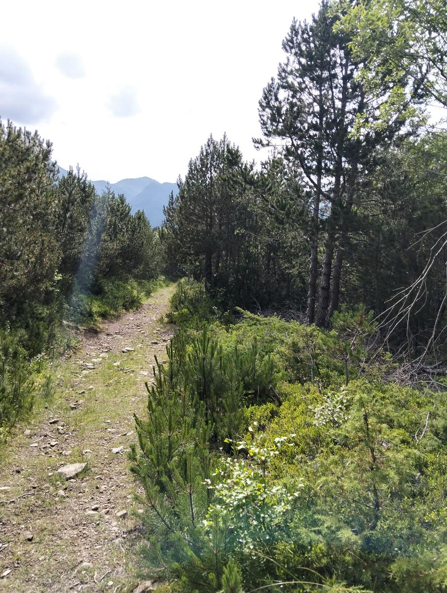 Anello di Val di luce, Monte gomito, Denti della Vecchia Lago Nero, Alpe Tre Potenze, Femminamorta, Balzo delle rose - foto 50
