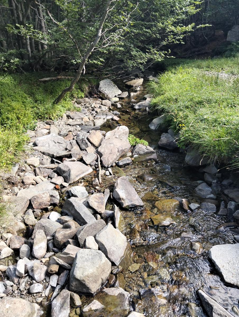 Pratospilla - Monte Bragalata - Monte Losanna - Monte Sillara - Monte Marmagna | Traversata panoramica Appenninica - foto 2