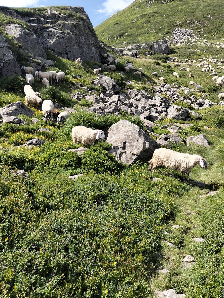 Pratospilla - Monte Bragalata - Monte Losanna - Monte Sillara - Monte Marmagna | Traversata panoramica Appenninica - foto 4