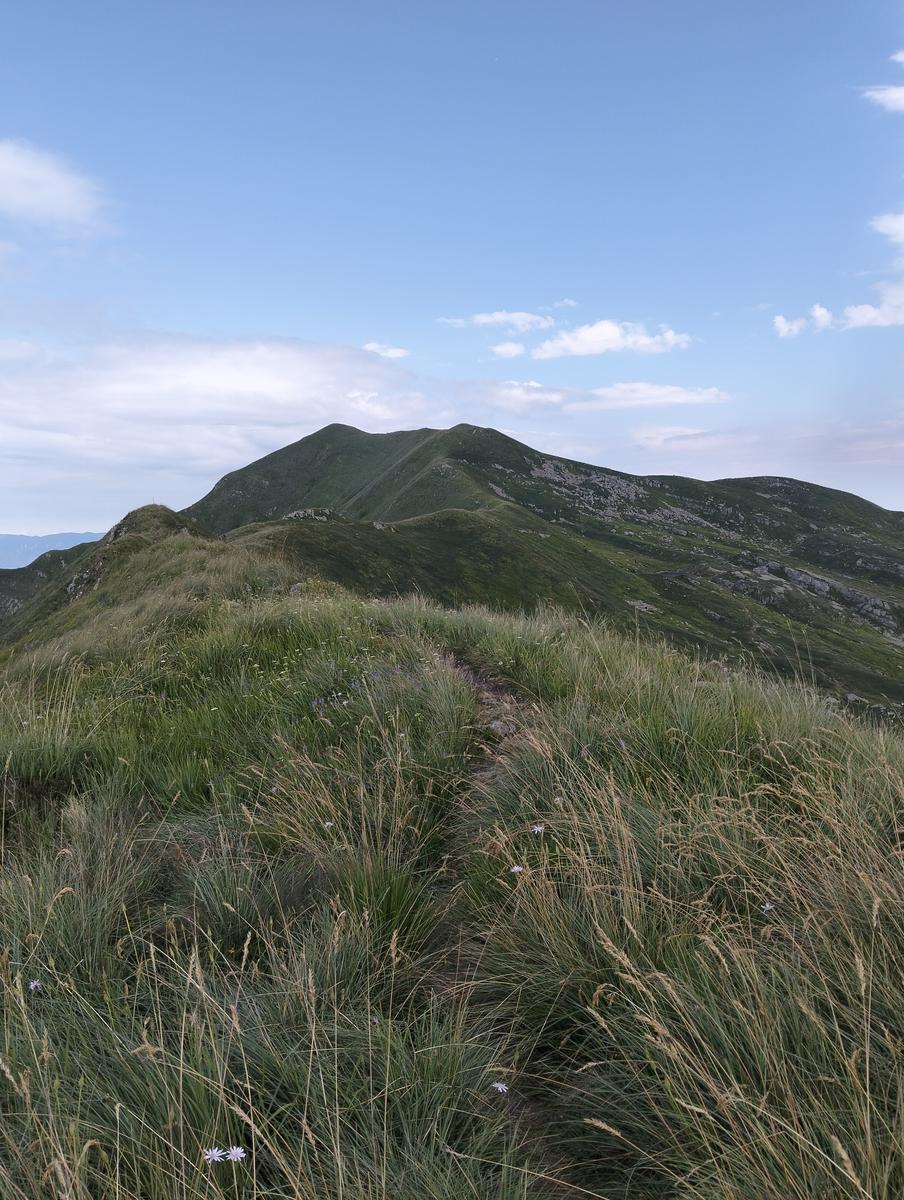 Pratospilla - Monte Bragalata - Monte Losanna - Monte Sillara - Monte Marmagna | Traversata panoramica Appenninica - foto 7