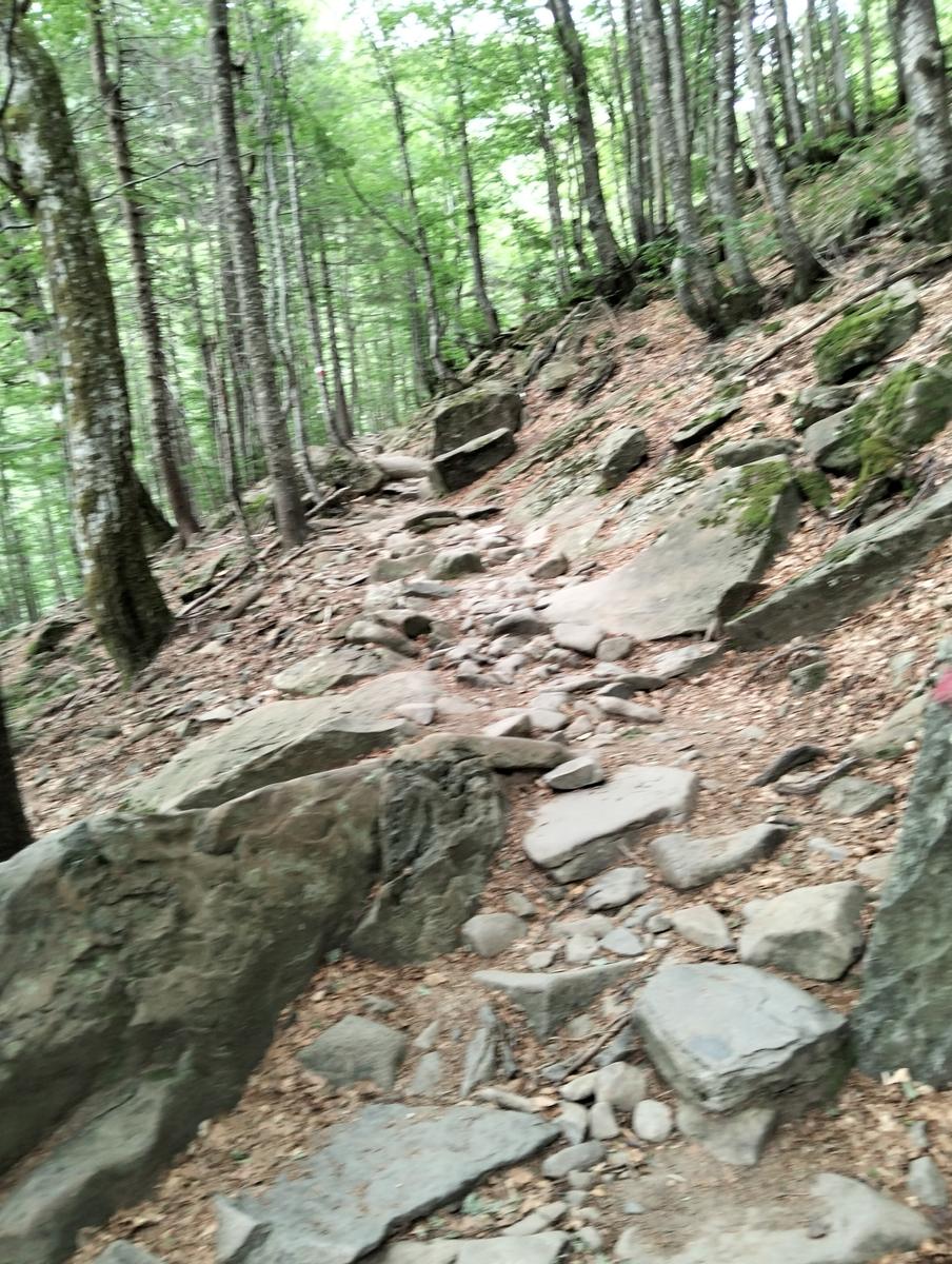 Pratospilla - Monte Bragalata - Monte Losanna - Monte Sillara - Monte Marmagna | Traversata panoramica Appenninica - foto 14