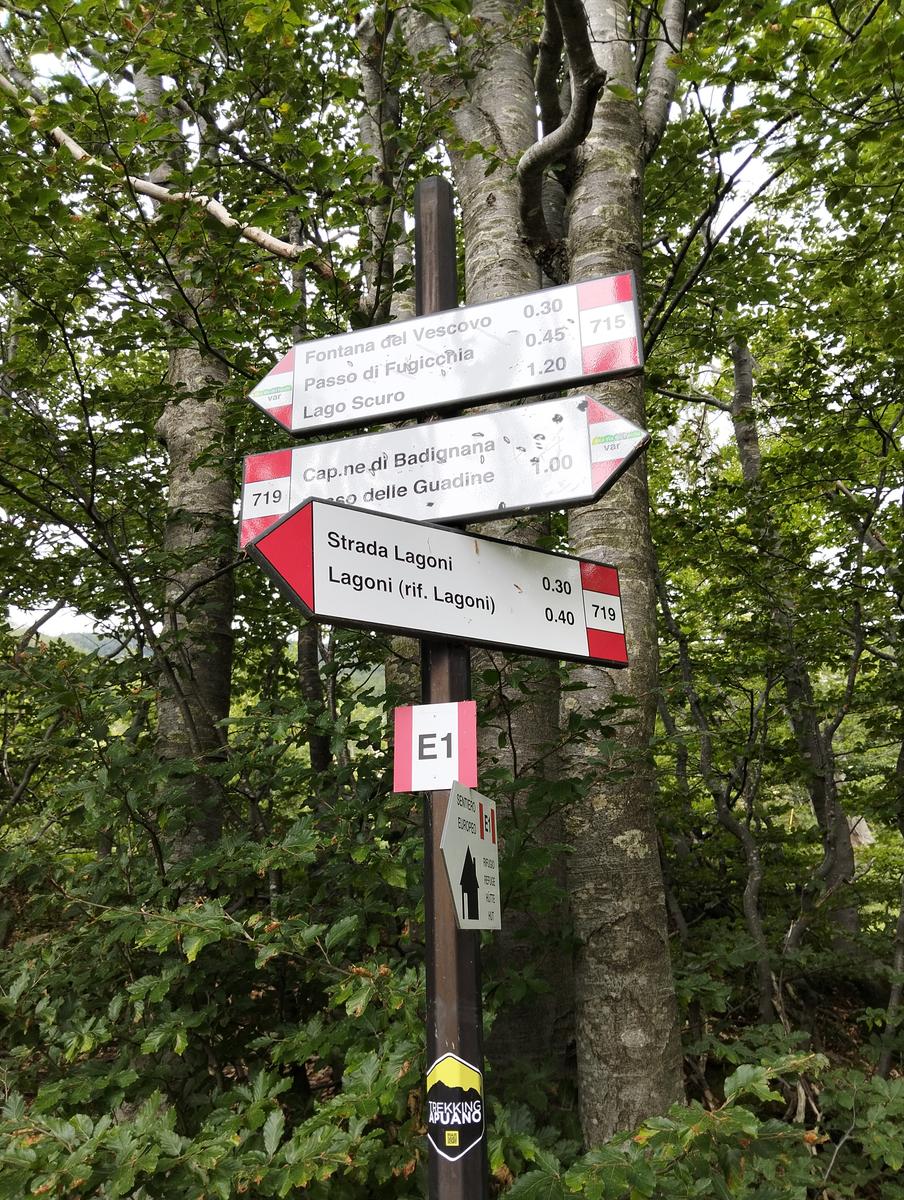 Pratospilla - Monte Bragalata - Monte Losanna - Monte Sillara - Monte Marmagna | Traversata panoramica Appenninica - foto 17