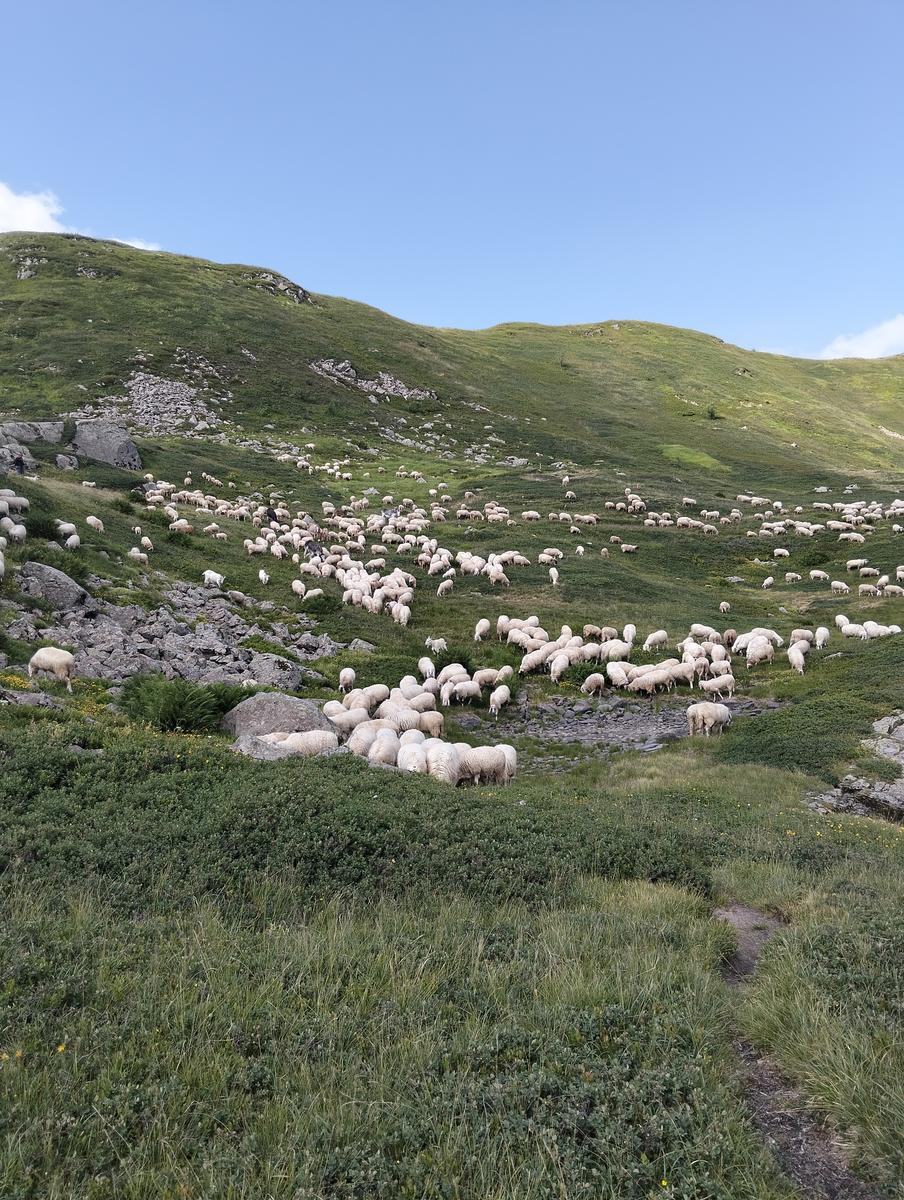 Pratospilla - Monte Bragalata - Monte Losanna - Monte Sillara - Monte Marmagna | Traversata panoramica Appenninica - foto 20