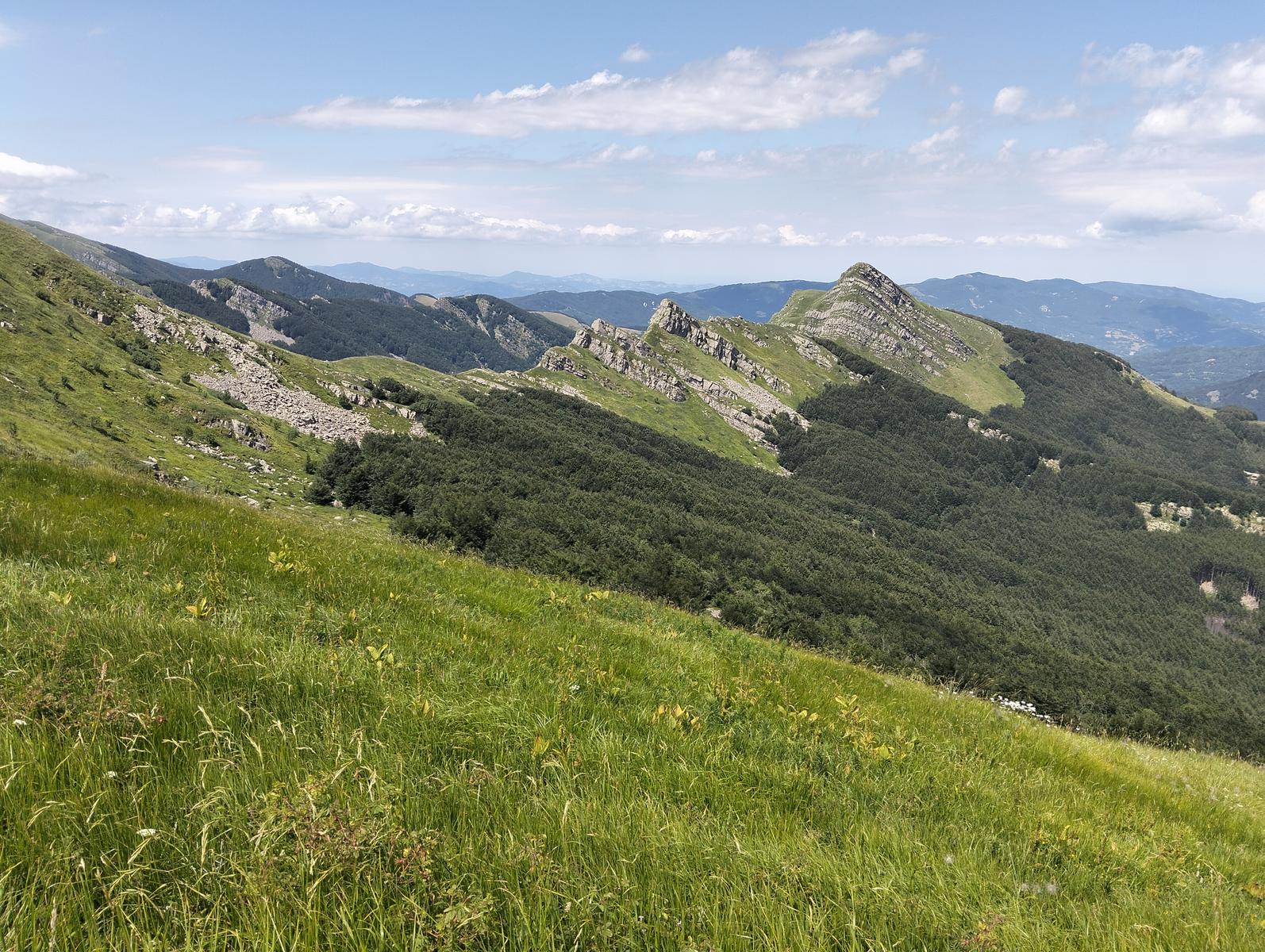 Pratospilla - Monte Bragalata - Monte Losanna - Monte Sillara - Monte Marmagna | Traversata panoramica Appenninica - foto 25