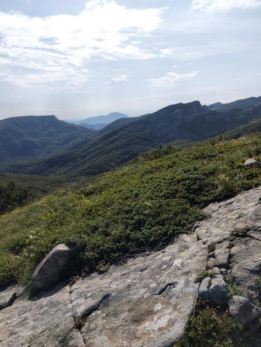 Pratospilla - Monte Bragalata - Monte Losanna - Monte Sillara - Monte Marmagna | Traversata panoramica Appenninica - foto 29