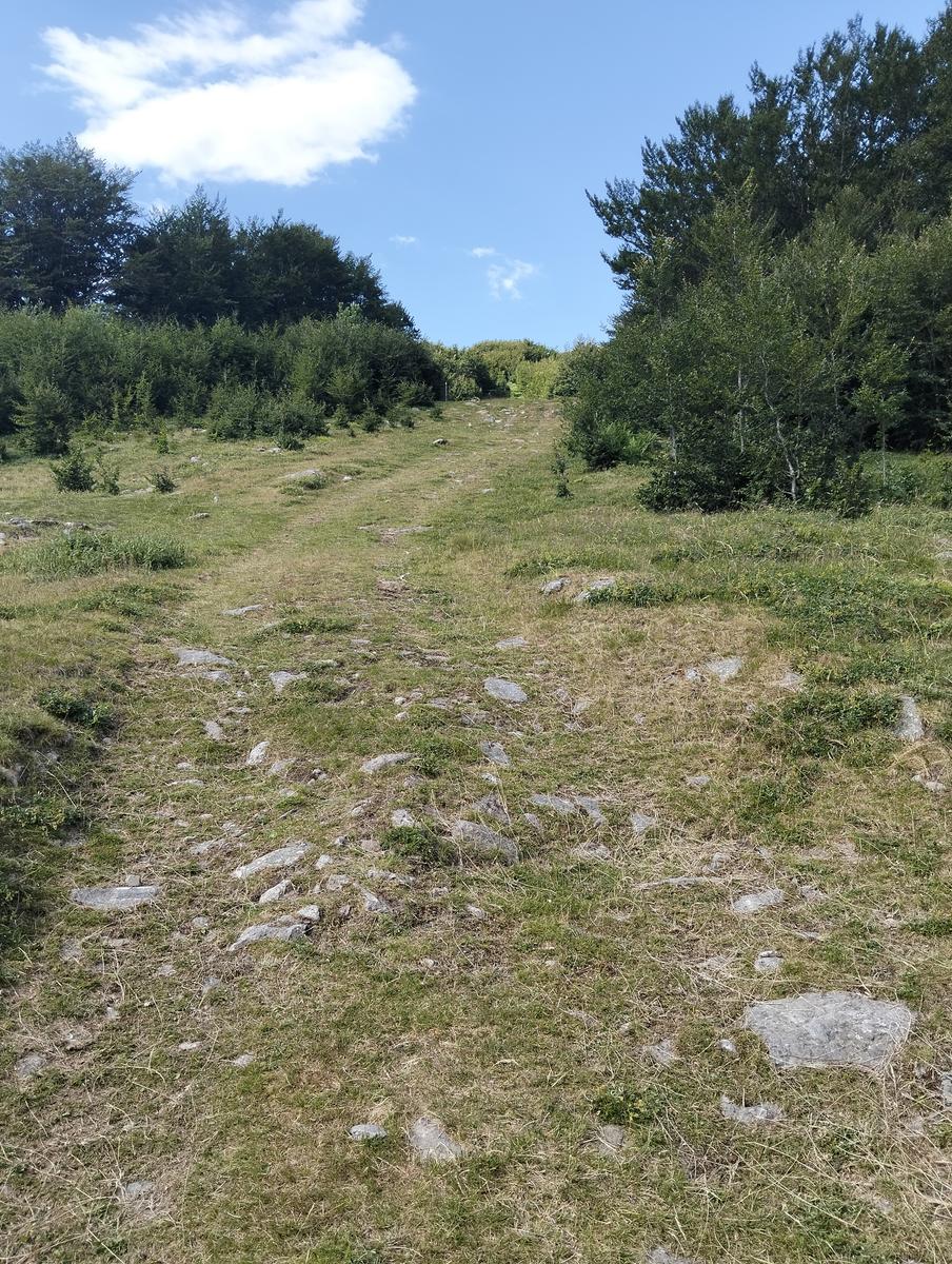 Pratospilla - Monte Bragalata - Monte Losanna - Monte Sillara - Monte Marmagna | Traversata panoramica Appenninica - foto 32