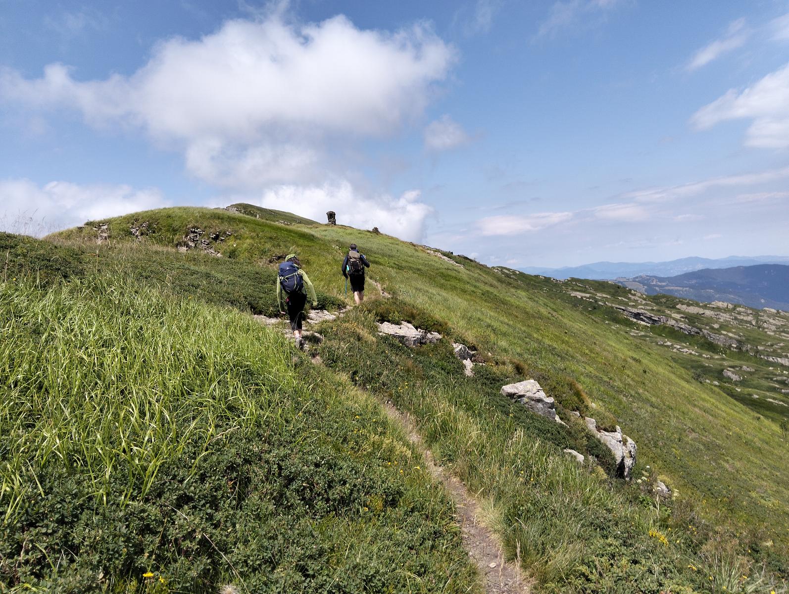 Pratospilla - Monte Bragalata - Monte Losanna - Monte Sillara - Monte Marmagna | Traversata panoramica Appenninica - foto 39