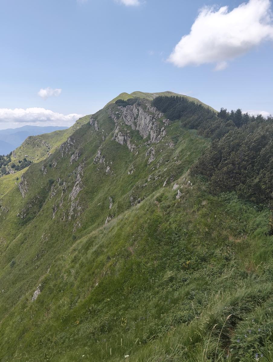 Pratospilla - Monte Bragalata - Monte Losanna - Monte Sillara - Monte Marmagna | Traversata panoramica Appenninica - foto 42