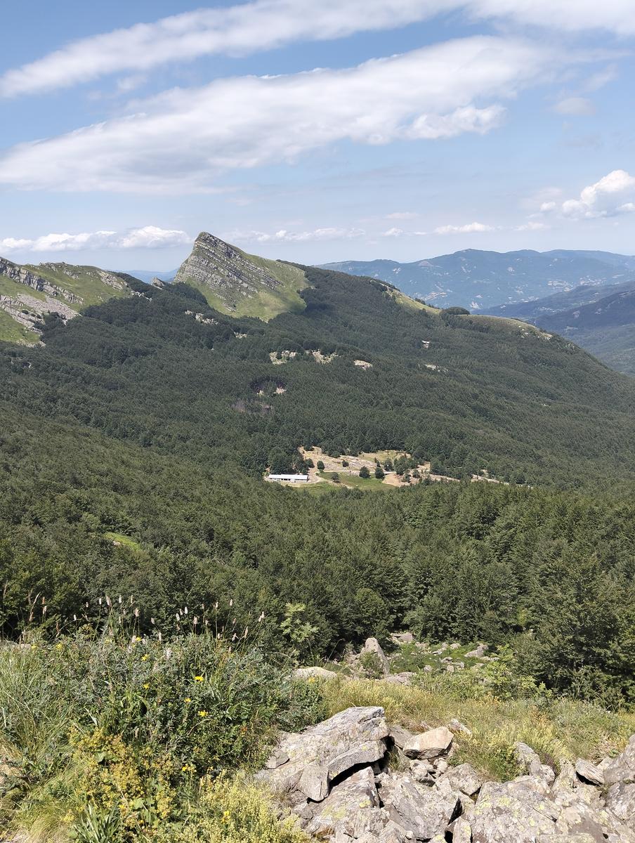 Pratospilla - Monte Bragalata - Monte Losanna - Monte Sillara - Monte Marmagna | Traversata panoramica Appenninica - foto 43