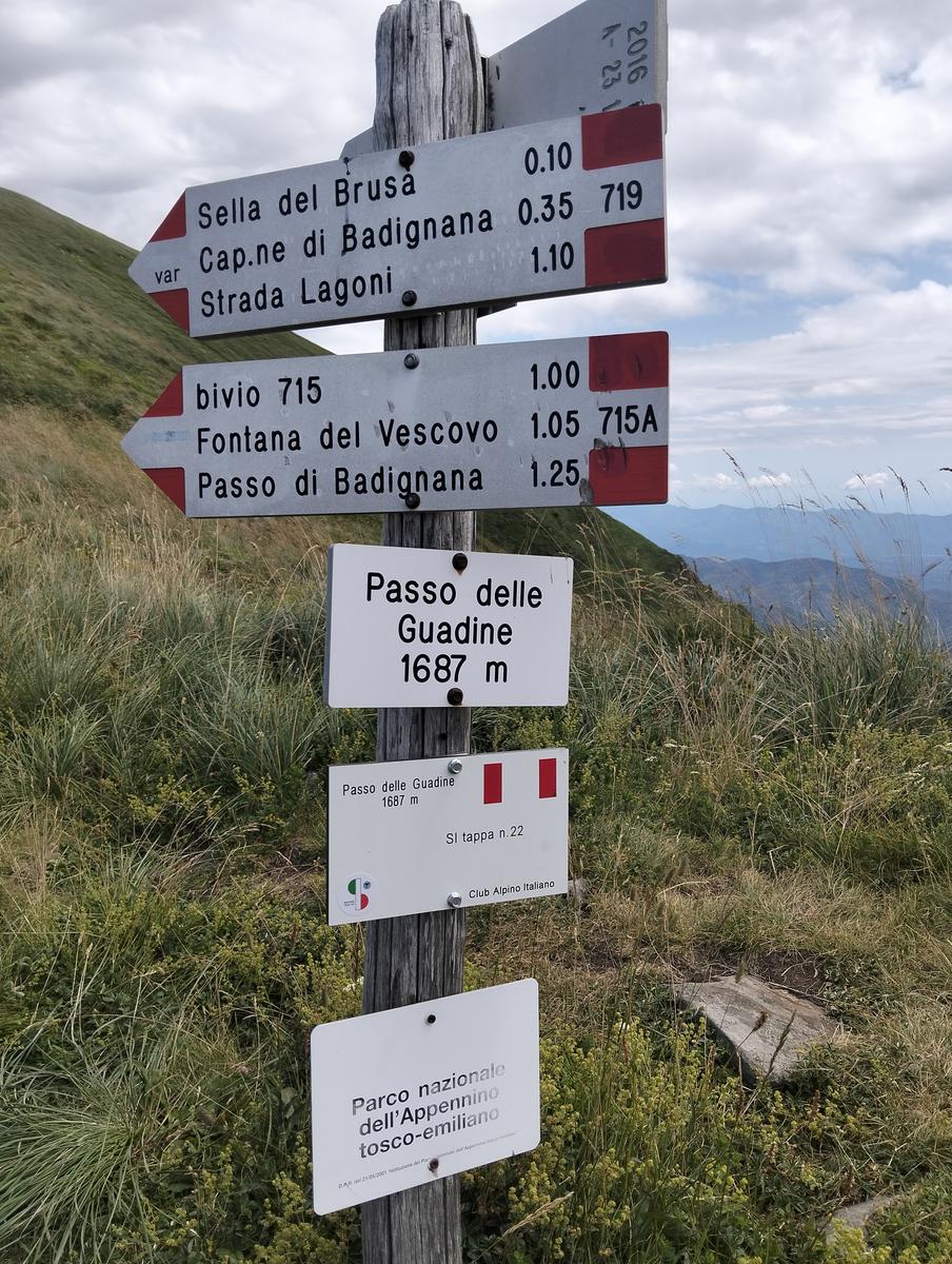 Pratospilla - Monte Bragalata - Monte Losanna - Monte Sillara - Monte Marmagna | Traversata panoramica Appenninica - foto 45