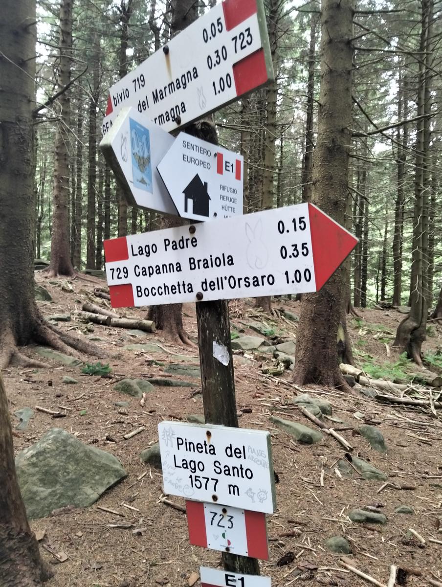 Pratospilla - Monte Bragalata - Monte Losanna - Monte Sillara - Monte Marmagna | Traversata panoramica Appenninica - foto 47