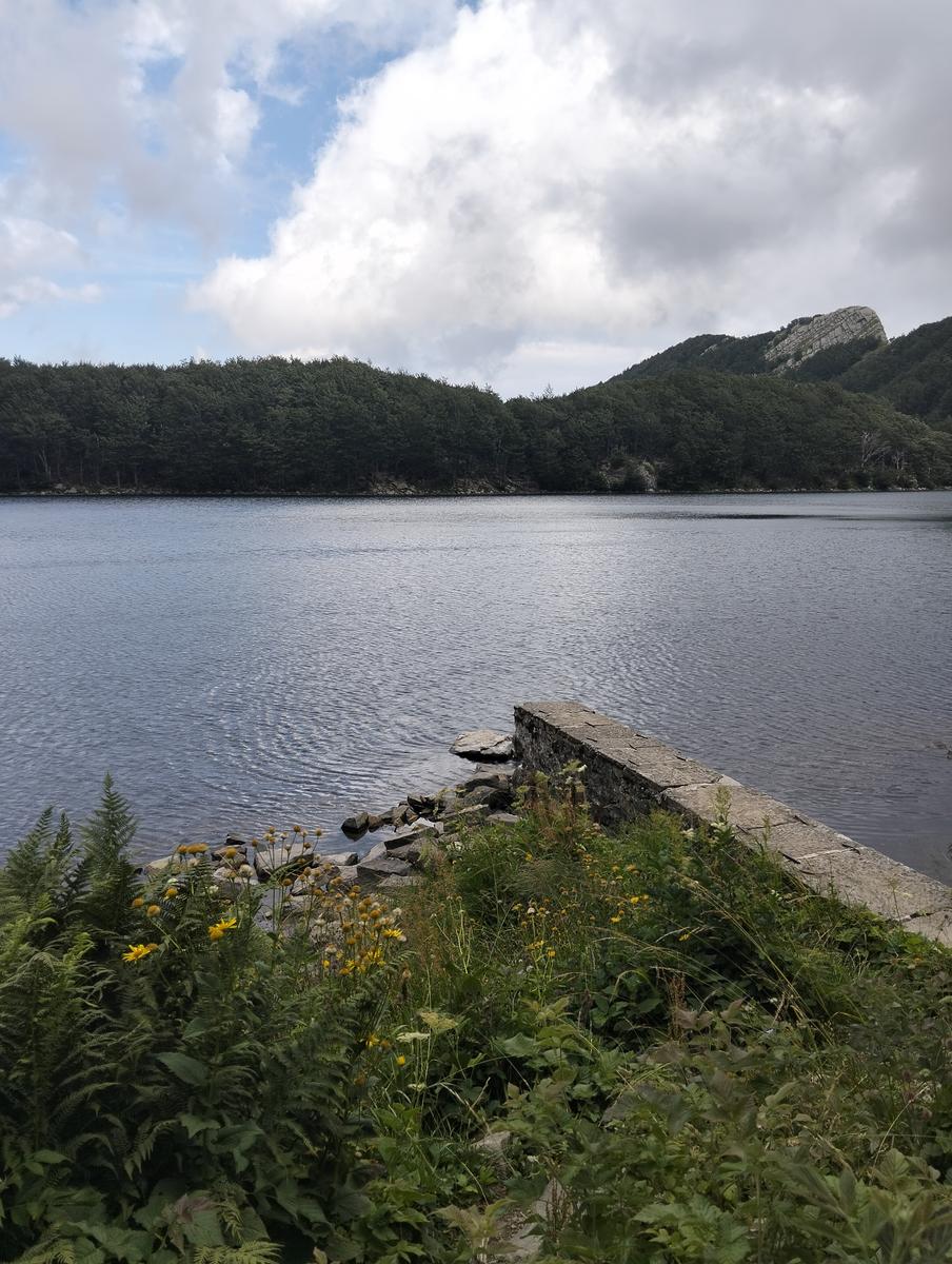 Pratospilla - Monte Bragalata - Monte Losanna - Monte Sillara - Monte Marmagna | Traversata panoramica Appenninica - foto 48