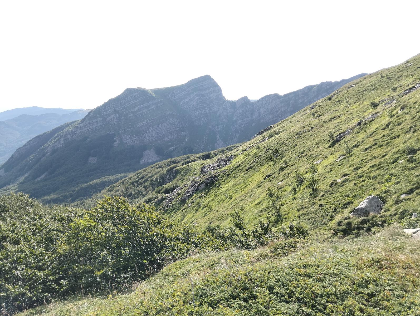 Pratospilla - Monte Bragalata - Monte Losanna - Monte Sillara - Monte Marmagna | Traversata panoramica Appenninica - foto 49